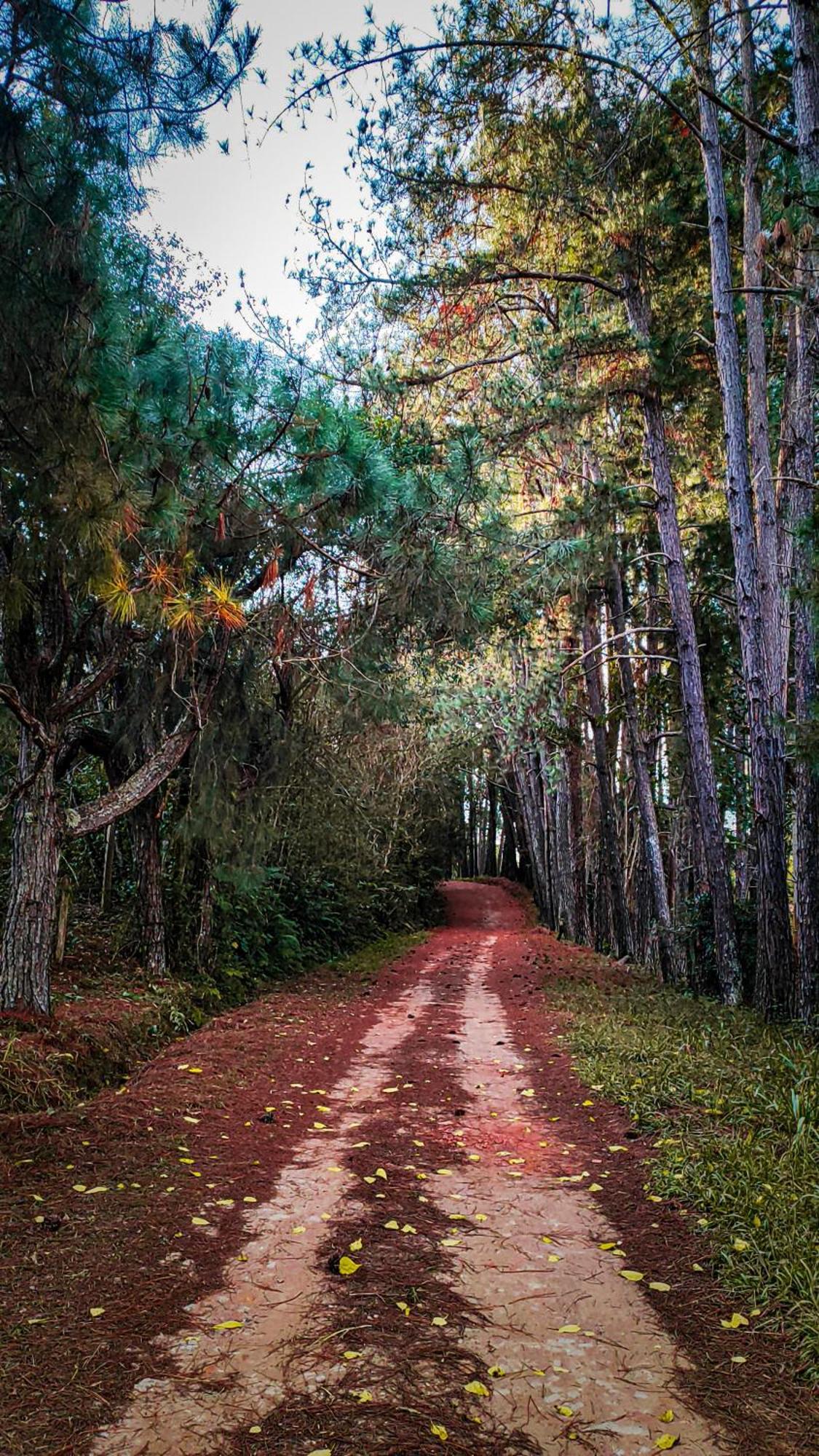 Pousada Colar De Ouro Cunha Exteriér fotografie
