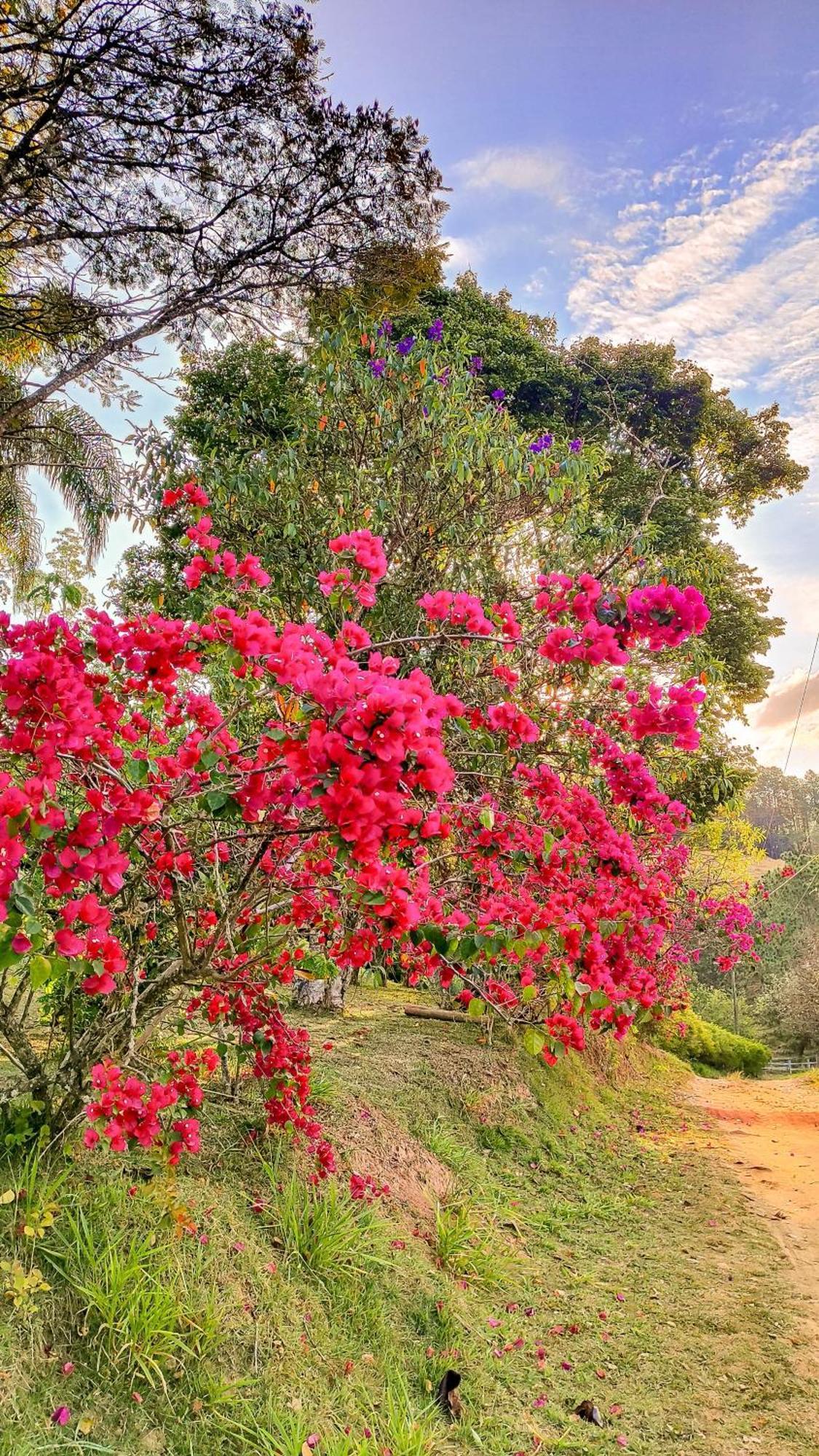 Pousada Colar De Ouro Cunha Exteriér fotografie